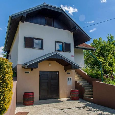 Zidanica Balantic Villa Добровник Екстериор снимка