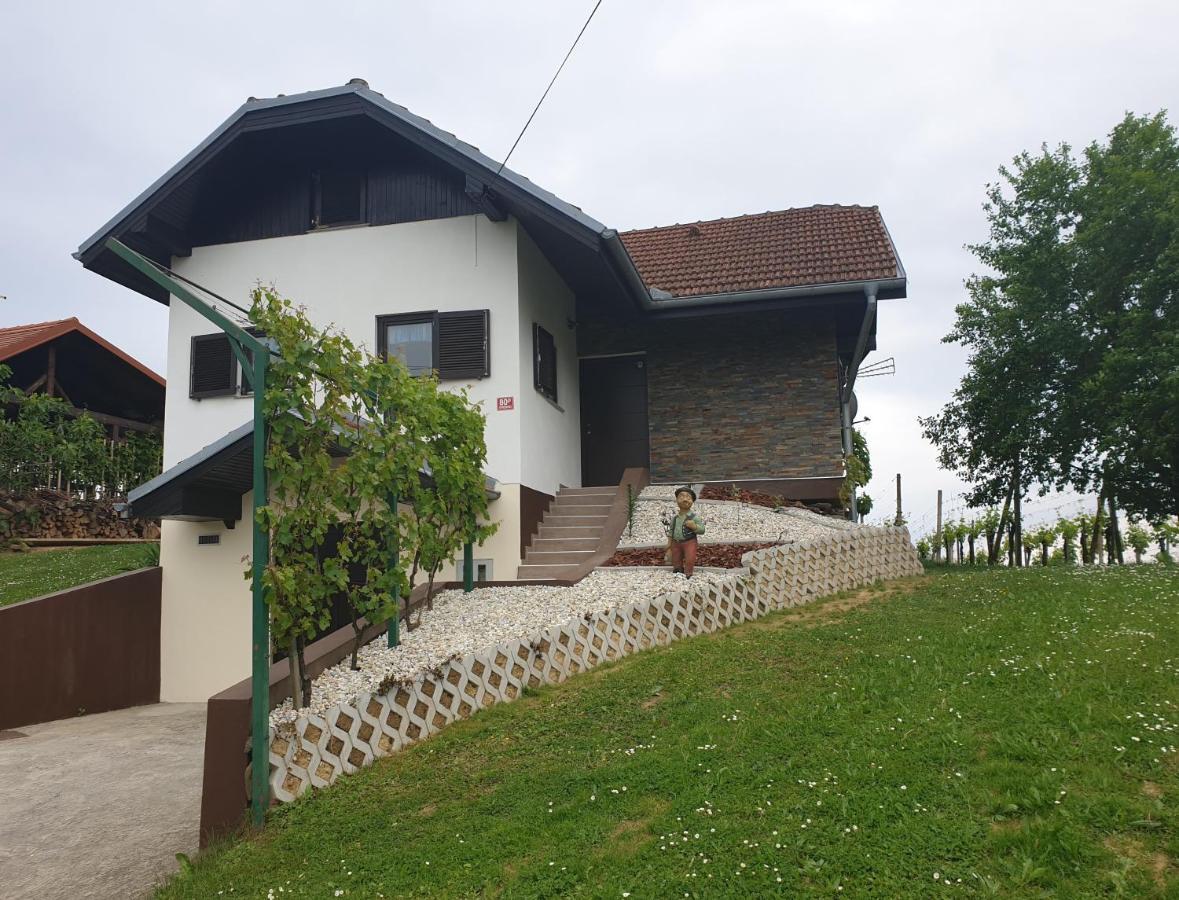 Zidanica Balantic Villa Добровник Екстериор снимка
